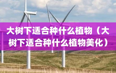 大树下适合种什么植物（大树下适合种什么植物美化）