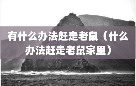 有什么办法赶走老鼠（什么办法赶走老鼠家里）
