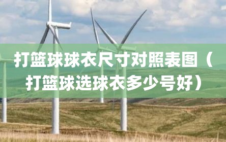 打篮球球衣尺寸对照表图（打篮球选球衣多少号好）
