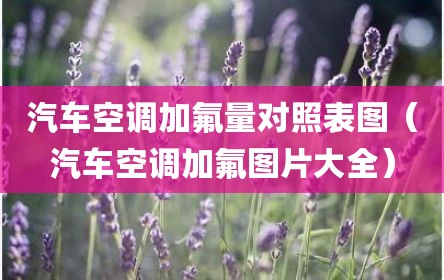汽车空调加氟量对照表图（汽车空调加氟图片大全）