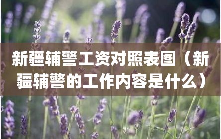 新疆辅警工资对照表图（新疆辅警的工作内容是什么）