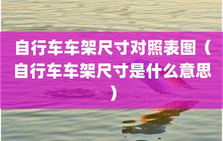 自行车车架尺寸对照表图（自行车车架尺寸是什么意思）