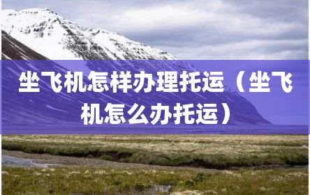 坐飞机怎样办理托运（坐飞机怎么办托运）