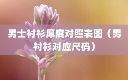 男士衬衫厚度对照表图（男衬衫对应尺码）