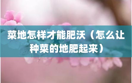 菜地怎样才能肥沃（怎么让种菜的地肥起来）