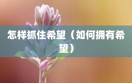 怎样抓住希望（如何拥有希望）