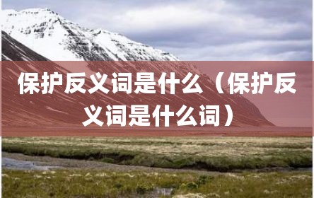 保护反义词是什么（保护反义词是什么词）