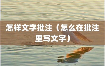 怎样文字批注（怎么在批注里写文字）