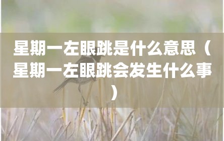 星期一左眼跳是什么意思（星期一左眼跳会发生什么事）