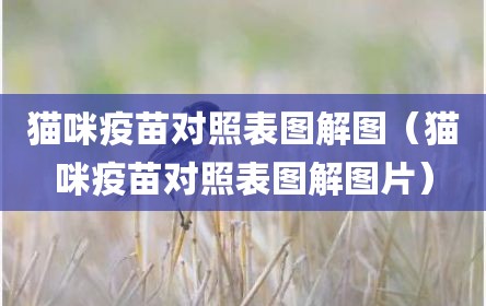 猫咪疫苗对照表图解图（猫咪疫苗对照表图解图片）