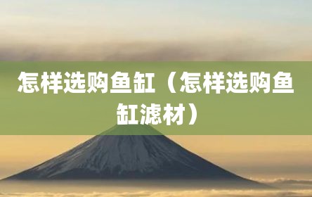 怎样选购鱼缸（怎样选购鱼缸滤材）