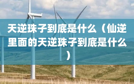 天逆珠子到底是什么（仙逆里面的天逆珠子到底是什么）