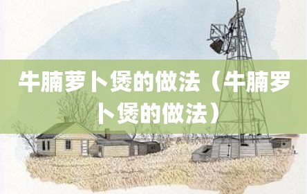 牛腩萝卜煲的做法（牛腩罗卜煲的做法）