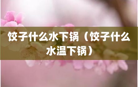 饺子什么水下锅（饺子什么水温下锅）