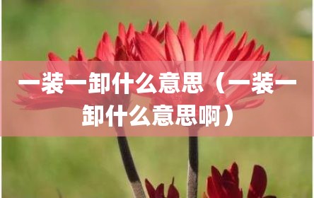 一装一卸什么意思（一装一卸什么意思啊）