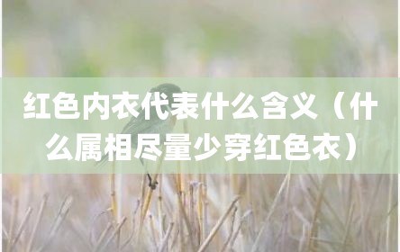 红色内衣代表什么含义（什么属相尽量少穿红色衣）