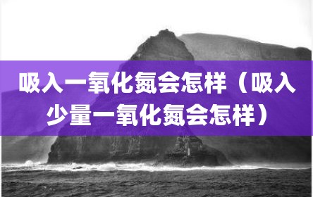 吸入一氧化氮会怎样（吸入少量一氧化氮会怎样）