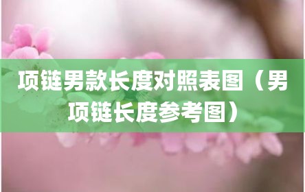 项链男款长度对照表图（男项链长度参考图）