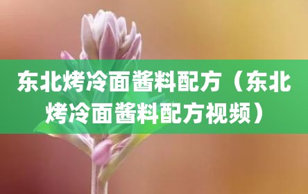 东北烤冷面酱料配方（东北烤冷面酱料配方视频）