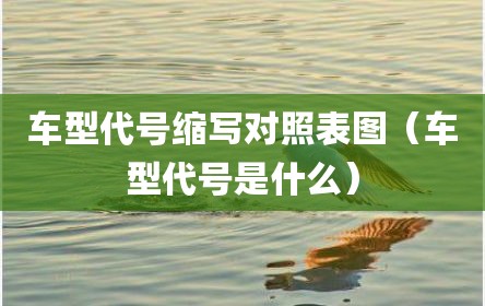 车型代号缩写对照表图（车型代号是什么）