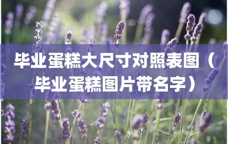 毕业蛋糕大尺寸对照表图（毕业蛋糕图片带名字）