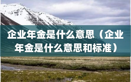企业年金是什么意思（企业年金是什么意思和标准）