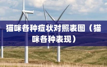 猫咪各种症状对照表图（猫咪各种表现）