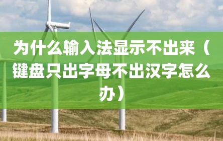 为什么输入法显示不出来（键盘只出字母不出汉字怎么办）