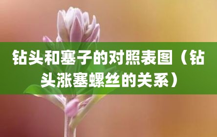 钻头和塞子的对照表图（钻头涨塞螺丝的关系）
