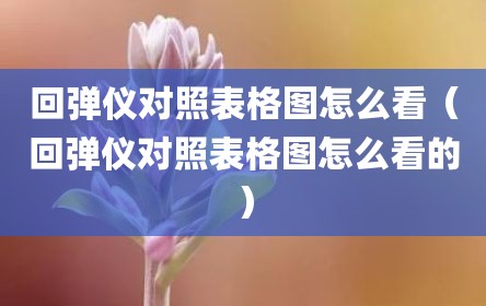 回弹仪对照表格图怎么看（回弹仪对照表格图怎么看的）