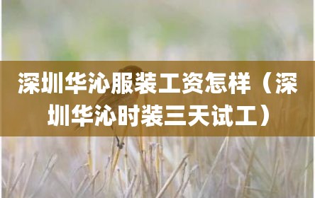 深圳华沁服装工资怎样（深圳华沁时装三天试工）