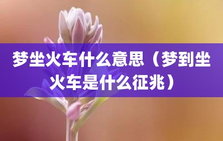 梦坐火车什么意思（梦到坐火车是什么征兆）