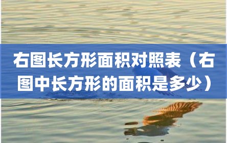 右图长方形面积对照表（右图中长方形的面积是多少）