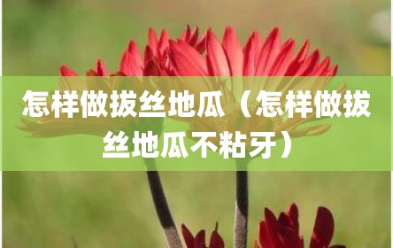 怎样做拔丝地瓜（怎样做拔丝地瓜不粘牙）