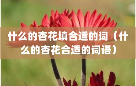 什么的杏花填合适的词（什么的杏花合适的词语）