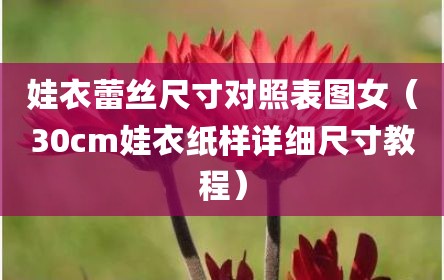 娃衣蕾丝尺寸对照表图女（30cm娃衣纸样详细尺寸教程）