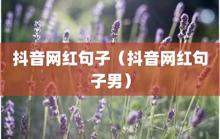 抖音网红句子（抖音网红句子男）