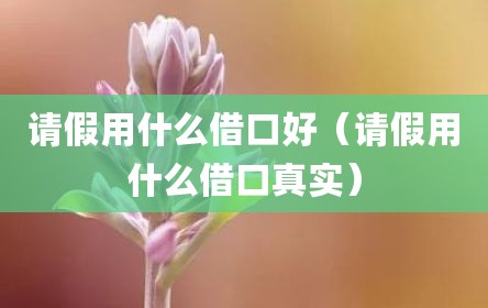 请假用什么借口好（请假用什么借口真实）
