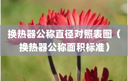 换热器公称直径对照表图（换热器公称面积标准）
