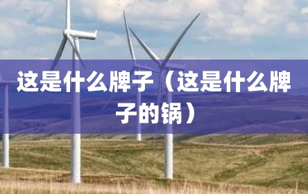 这是什么牌子（这是什么牌子的锅）