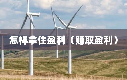 怎样拿住盈利（赚取盈利）
