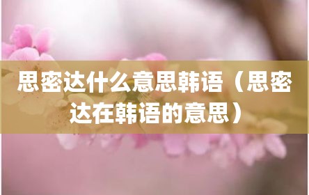 思密达什么意思韩语（思密达在韩语的意思）