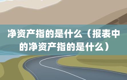 净资产指的是什么（报表中的净资产指的是什么）