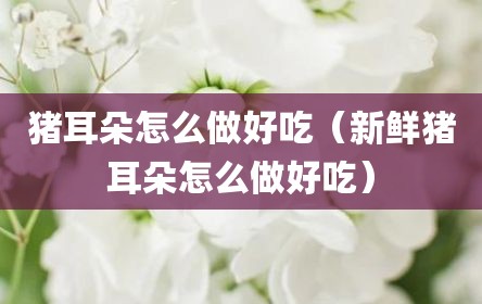 猪耳朵怎么做好吃（新鲜猪耳朵怎么做好吃）