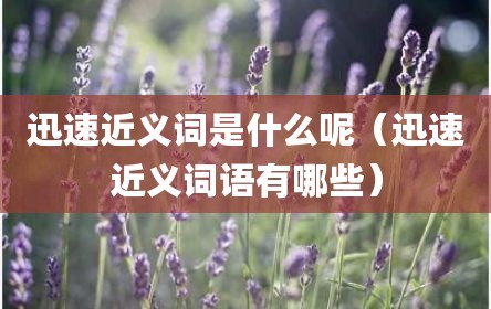 迅速近义词是什么呢（迅速近义词语有哪些）