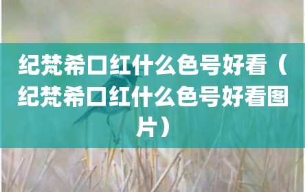 纪梵希口红什么色号好看（纪梵希口红什么色号好看图片）