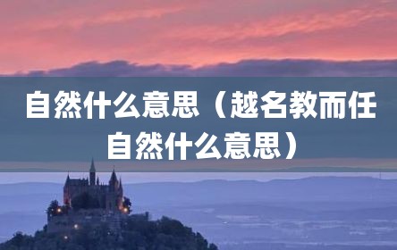 自然什么意思（越名教而任自然什么意思）