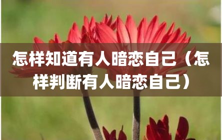 怎样知道有人暗恋自己（怎样判断有人暗恋自己）