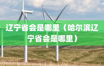 辽宁省会是哪里（哈尔滨辽宁省会是哪里）