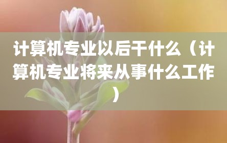计算机专业以后干什么（计算机专业将来从事什么工作）
